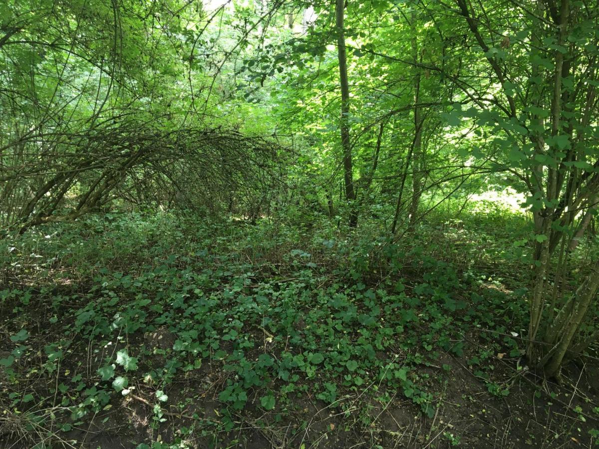 Un Coin De Foret Courmas Esterno foto